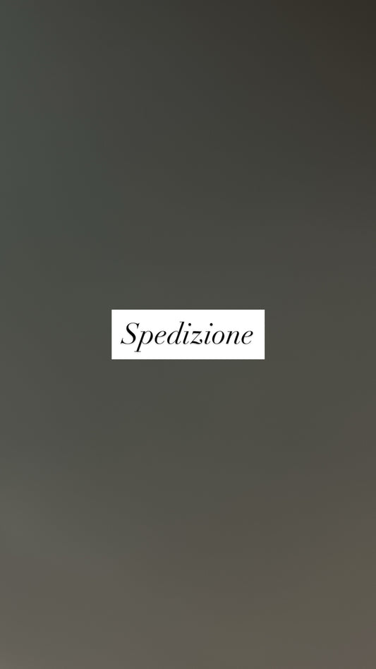 Spedizione